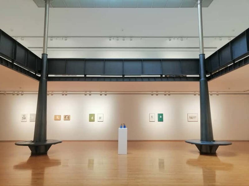 Picasso Museum, Walking Tour & Optional Wine Tasting Upgrade - Who Will Benefit Most From This Tour?