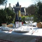 Picnic in the Vines - A Unique Loire Wine Experience - Exploring the Experience in Detail