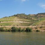 Pinhão: 2-Hour Rabelo Boat Tour with Audio Guide - Who will love this boat tour?