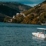 Pinhão: Electric Boat Experience 1h - Taste of Two Wines - Detailed Breakdown of the Itinerary
