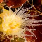 Plakias: Try Scuba Diving first time - Private, from 8 yrs. - Who Will Love This Experience?