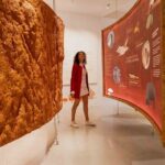 Planet Cork Entry Ticket at WOW - A Deep Dive into the Experience