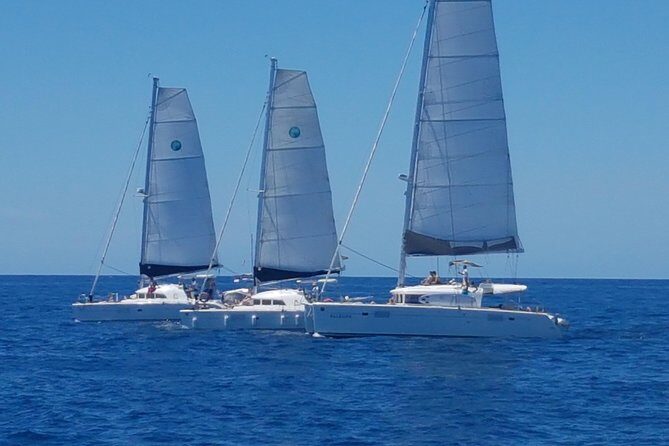 Playa Ses Platgetes Catamaran Private Trip - Frequently Asked Questions (FAQs)