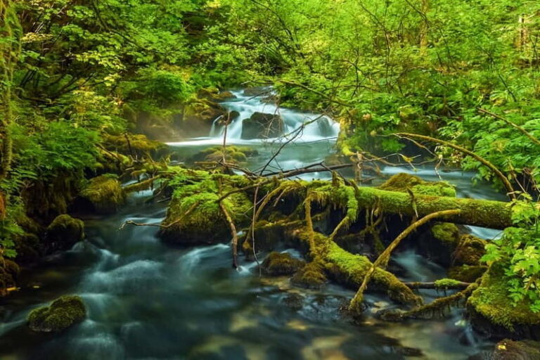 Plitvice Lakes: Guided Walking Tour with Train and Boat Ride - What’s Included in the Tour?