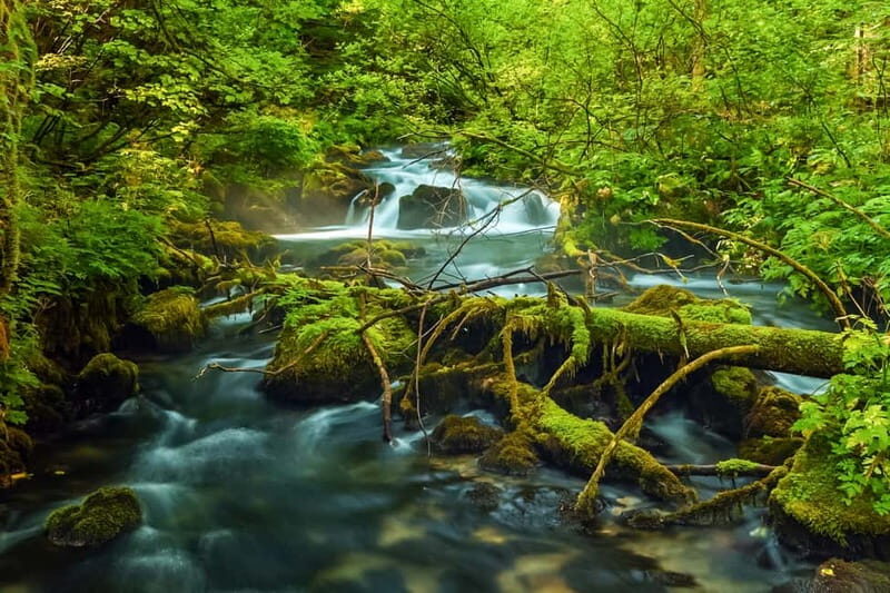 Plitvice Lakes: Guided Walking Tour with Train and Boat Ride - What’s Included in the Tour?