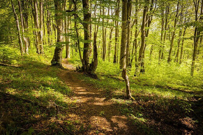 Plitvice Lakes Tour from Split with Entrance Ticket included - The Guide and Group Dynamics