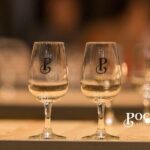 Poças Guided Visit and Port Wine Tasting with Pastel de Nata - Detailed Breakdown of the Itinerary