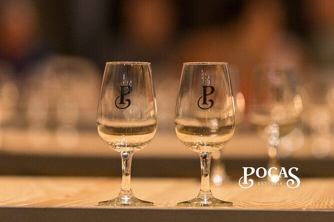 Poças Guided Visit and Port Wine Tasting with Pastel de Nata - Detailed Breakdown of the Itinerary