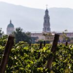 Pompeii Vineyard Escape: Private Wine Tasting & Lunch - Final Thoughts