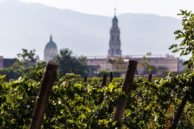 Pompeii Vineyard Escape: Private Wine Tasting & Lunch - Final Thoughts