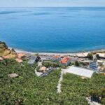 Ponta Do Sol : Madeira Banana Museum guided tour - Who Will Enjoy This Tour?