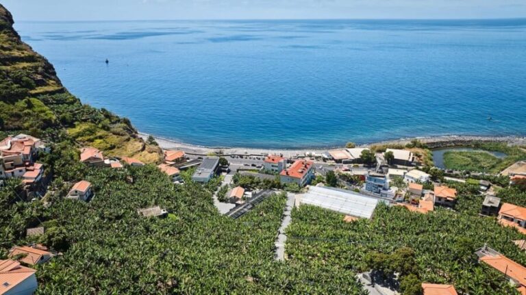 Ponta Do Sol : Madeira Banana Museum guided tour - Who Will Enjoy This Tour?