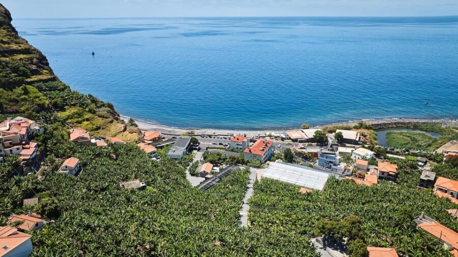 Ponta Do Sol : Madeira Banana Museum guided tour - Who Will Enjoy This Tour?