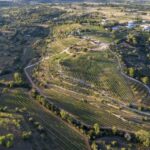 Porches: Algarve Vineyard Tour and Wine Tasting Experience - A Closer Look at the Algarve Vineyard Experience