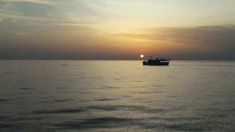 Pore: Sunset Dolphin Safari Cruise with Drinks - The Experience Compared to Other Tours