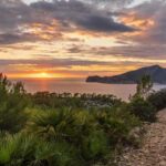 Port Andratx: Hiking Tour into the sunset to Sant Elm - The Focus on Natural Beauty and Local Culture
