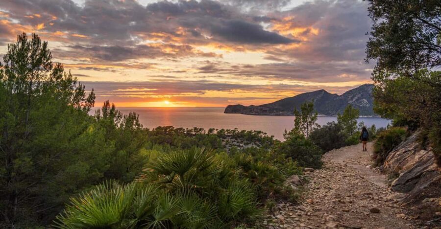 Port Andratx: Hiking Tour into the sunset to Sant Elm - The Focus on Natural Beauty and Local Culture