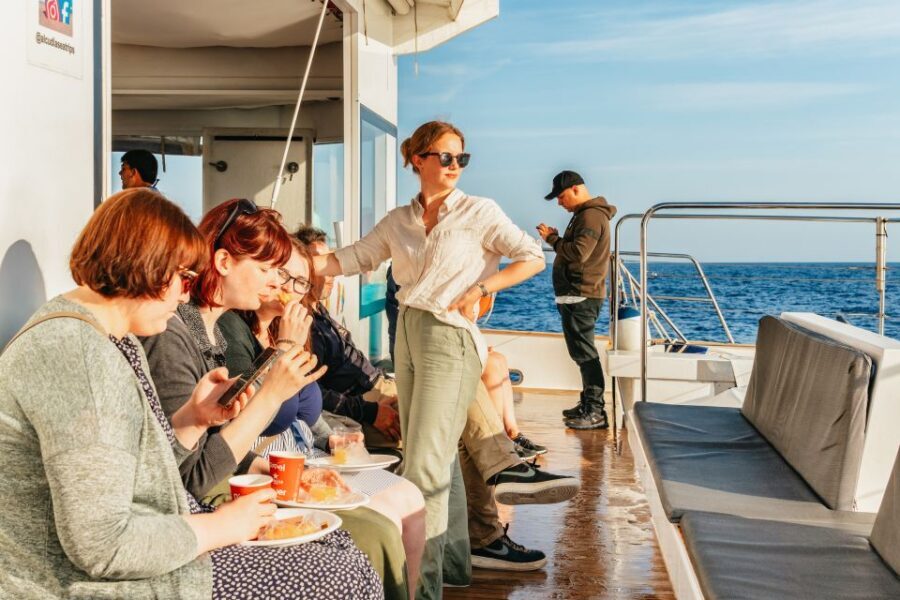 Port d'Alcudia: Sunrise at Sea & Dolphin Watching Boat Tour - Who Will Love This Tour?