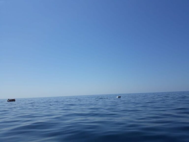 Portimão: Dophin Watching on the Algarve Coast - Who Should Consider This Tour?
