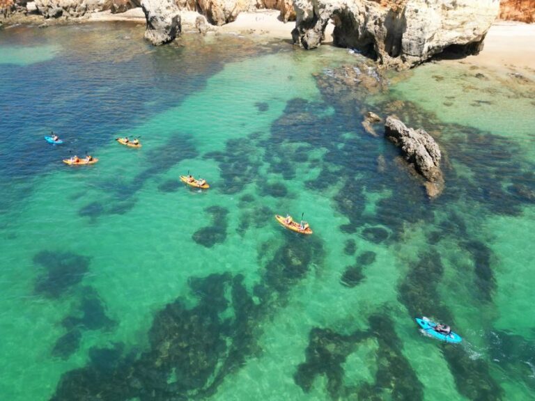 Portimão: Small Group Kayak Cave and Cliff Tour - What You Can Expect from This Tour