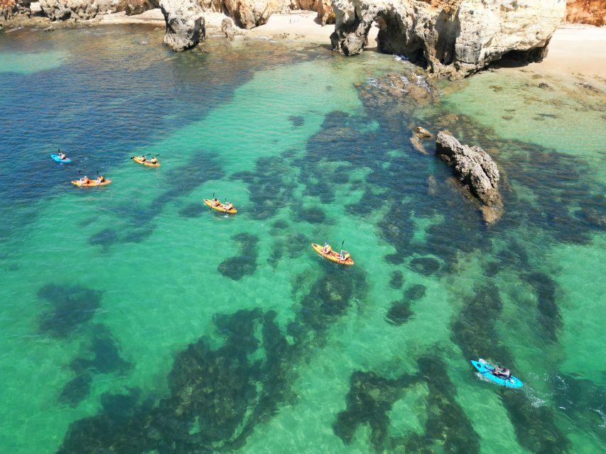 Portimão: Small Group Kayak Cave and Cliff Tour - What You Can Expect from This Tour