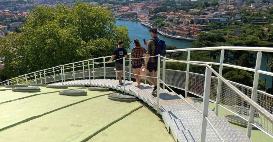 Porto 360 45 ' guided tour to Super Bock Arena - An In-Depth Look at the Porto 360 Tour