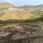 Porto: Douro valley 2 farms with wine tasting and lunch - Analyzing the Value and Practicalities