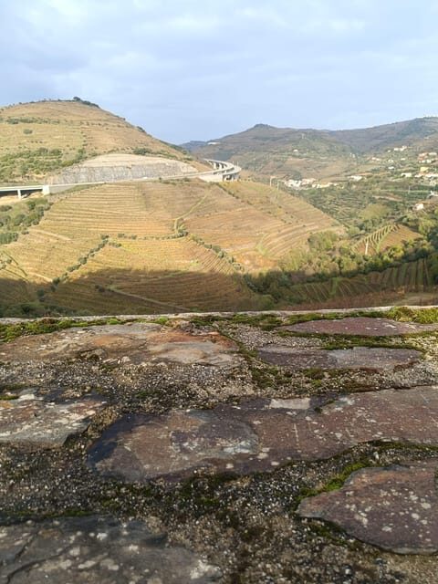 Porto: Douro valley 2 farms with wine tasting and lunch - Analyzing the Value and Practicalities