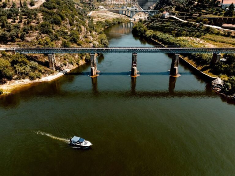 Porto: Douro Valley Full-Day Boat, Train, and Lunch Tour - Practical Details and Tips