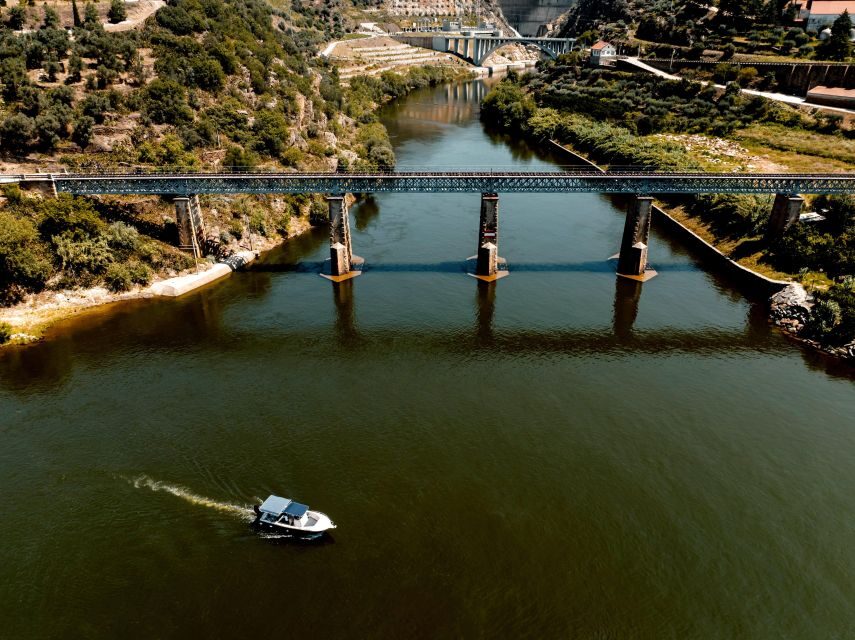 Porto: Douro Valley Full-Day Boat, Train, and Lunch Tour - Practical Details and Tips
