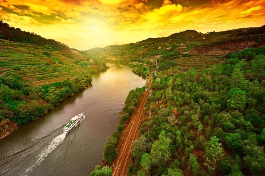 Porto: Douro Valley Wine Tour - Authenticity and Value