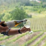Porto: Green Wine Tasting and visit - Who Will Love This Tour?