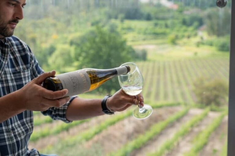 Porto: Green Wine Tasting and visit - Who Will Love This Tour?