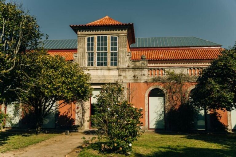 Porto: National Museum Soares dos Reis E-Ticket & City Tour - How Does the Price Reflect the Value?