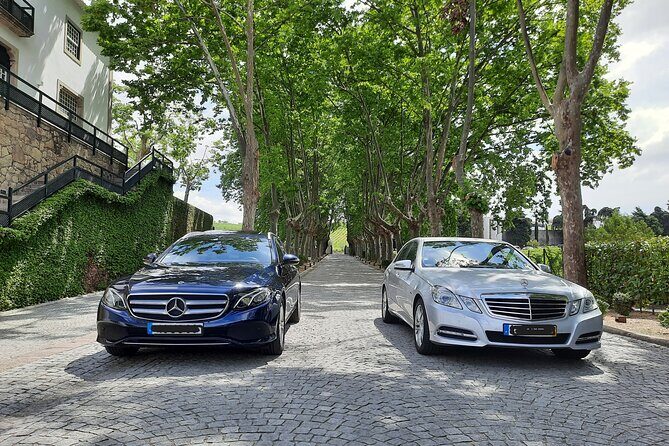 Porto to/from Douro Valley (1-8 pax) Private Transfer in Mercedes - Who Should Consider This Transfer?