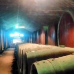 Portuguese Wine History & Amazing Landscape - Authentic Insights from Guests