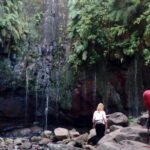 PR6 25 Fountains/Risco Levada Walk - Why this tour offers great value