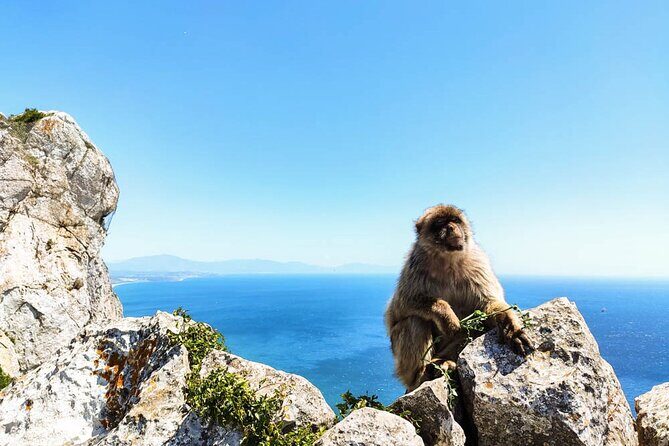 Premium private trip to Gibraltar from Seville (multiple options) - Who Will Love This Tour?