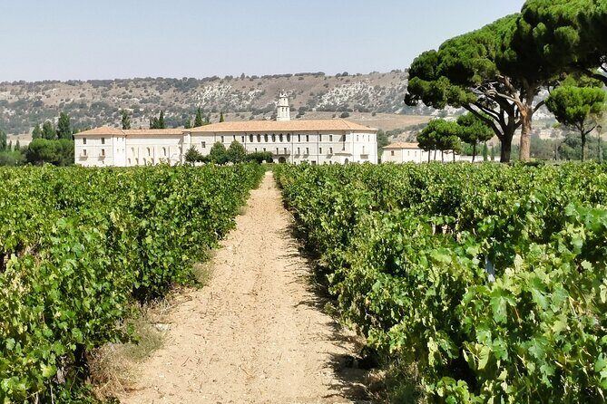 Premium Ribera del Duero tour with winemaker-guide - Who Will Love This Tour?
