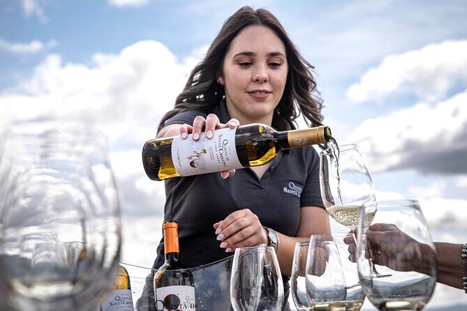 Premium Tasting | Quinta de Santa Cristina Vinho Verde - A Detailed Look at the Quinta de Santa Cristina Premium Tasting Experience