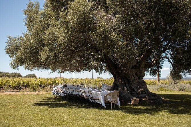 Premium Vineyard Tour & Tasting - Who Would Enjoy This Tour?