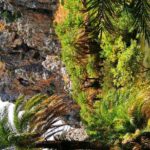 Preveli Beach & Palm Forest :Full-Day Tour with Lunch Box - Who Will Love This Tour?