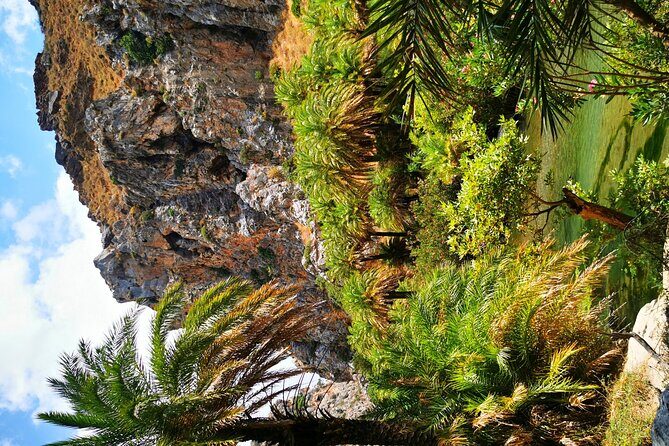 Preveli Beach & Palm Forest :Full-Day Tour with Lunch Box - Who Will Love This Tour?