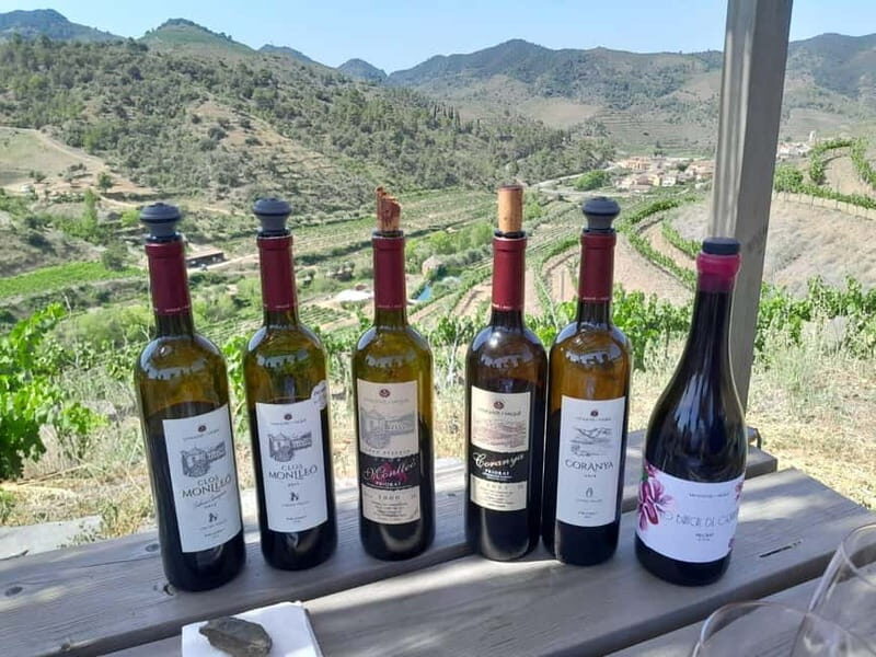 Priorat tour to 3 small wineries and hotel pick-up - Unpacking the Experience: What to Expect