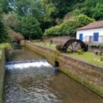 Privat van tour Furnas valley, Gorreana tea  islands gems - A Deep Dive into the Experience