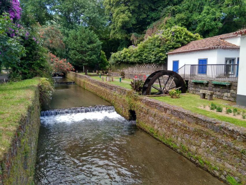 Privat van tour Furnas valley, Gorreana tea  islands gems - A Deep Dive into the Experience