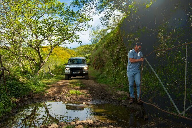 Private 4x4 Jeep Half Day - Picturesque Peaks, Vineyards, Skywalk - The Sum Up