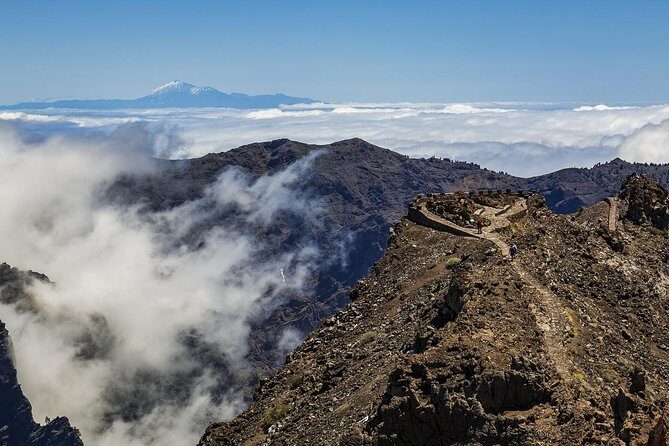 Private 8 hours Tour to El Teide from Tenerife Hotel with driver/guide - Transportation and Practical Details