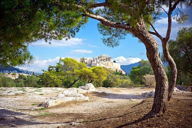 Private Acropolis & New Acropolis Museum for Families - Exploring Athens with Kids: A Detailed Review