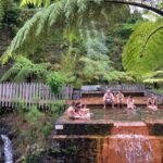 Private - All of Furnas, Tea Plantation, ticket to Beija included - A Well-Balanced Tour with Considerations